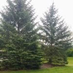 20180518_145118